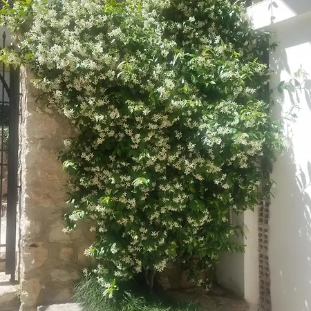 Duplex Berti