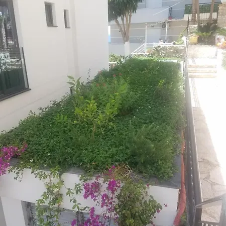 Appartement Duplex Berti