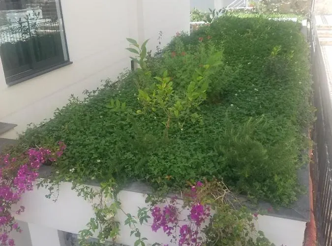 Duplex Berti Apartament Saranda