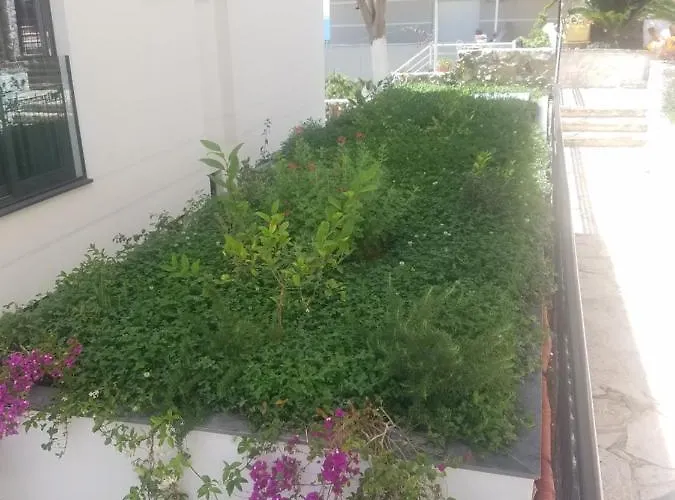 Apartament Duplex Berti